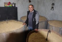 १२० मुरी धान फलाउने म्याग्दीका ध्रुव