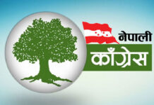 कांग्रेसद्वारा विभिन्न समिति बनाउन पार्टीका सबै तहलाई निर्देशन