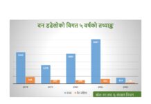 मनसुन पूर्वको वर्षाले घटायो वन डढेलो