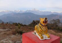 बाघखोरमा बाघको प्रतिमासहितको ‘पार्क’ निर्माण