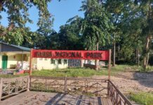 पर्यटकको आकर्षणको केन्द्र बन्दै पर्सा राष्ट्रिय निकुञ्ज