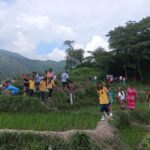बढ्दो सहरीकरणसँग उपत्यकामा धान रोप्ने ठाउँको अभाव