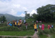 बढ्दो सहरीकरणसँग उपत्यकामा धान रोप्ने ठाउँको अभाव