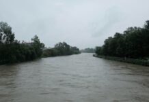 बागमती नदीले सतर्कता तह पार गर्यो, सतर्क रहन आग्रह